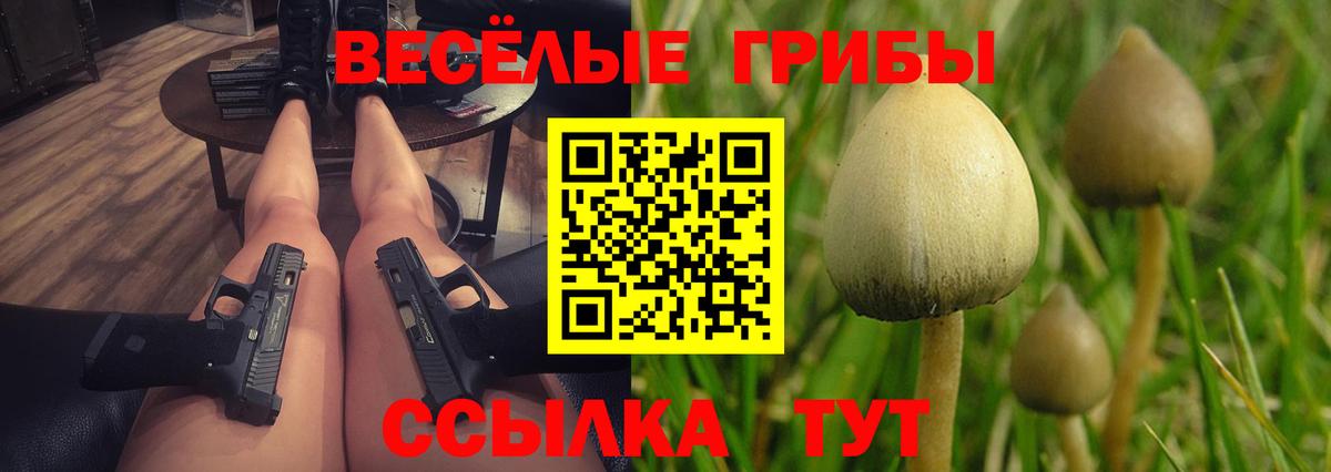 Псилоцибиновые грибы мухоморы Вышний Волочёк
